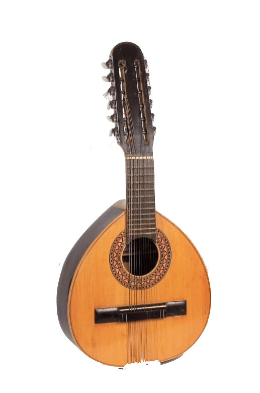 Kudyapi two-stringed lute